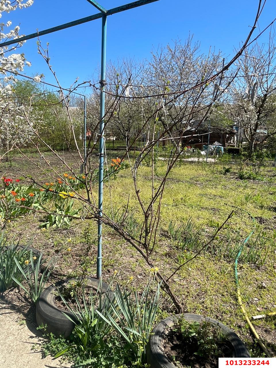 Фото №13: 2-комнатная квартира 48 м² - отделения № 3 СКЗНИИСиВ, мкр. Прикубанский внутригородской округ, ул. Селекционная, 17