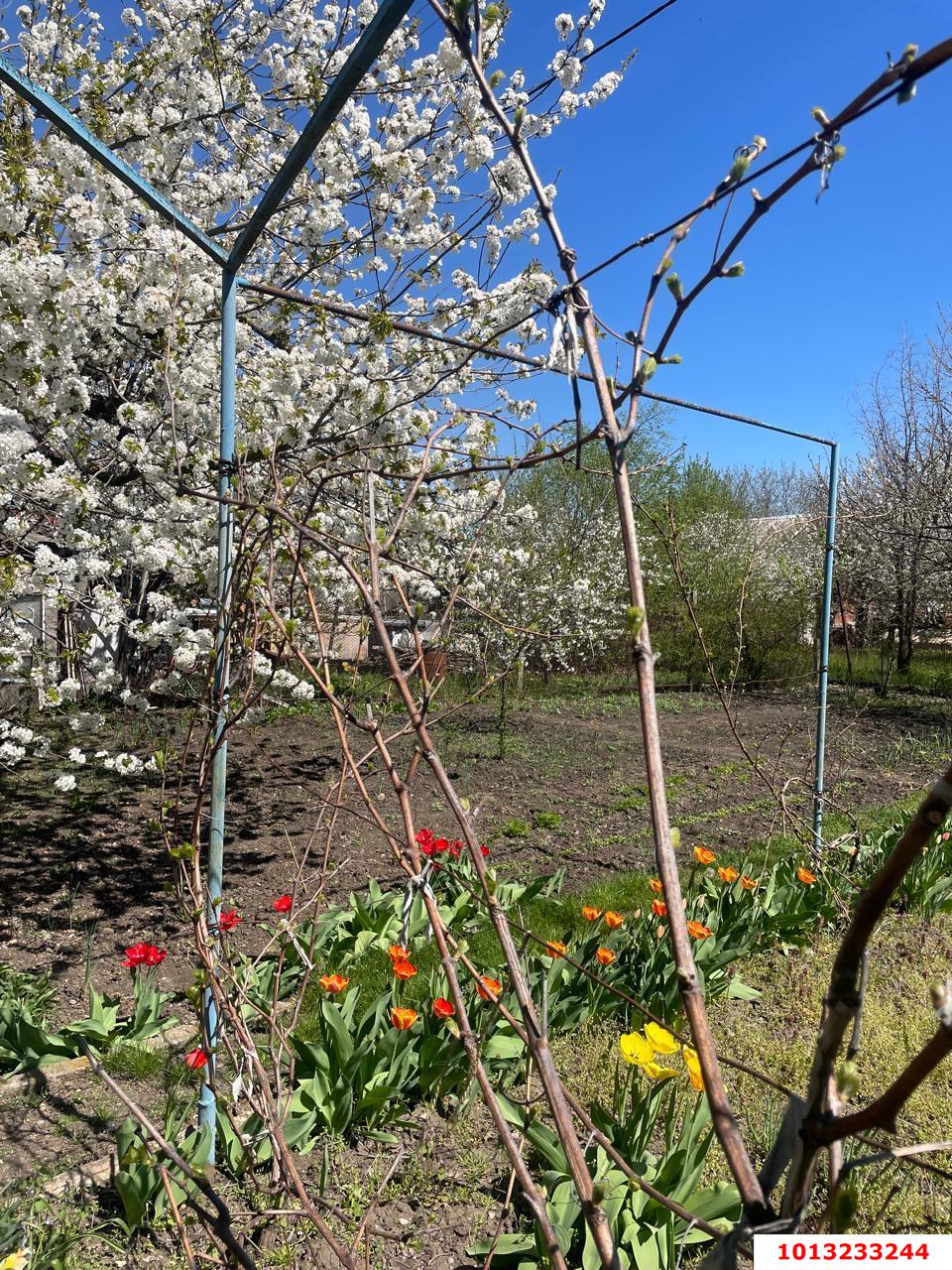 Фото №14: 2-комнатная квартира 48 м² - отделения № 3 СКЗНИИСиВ, мкр. Прикубанский внутригородской округ, ул. Селекционная, 17