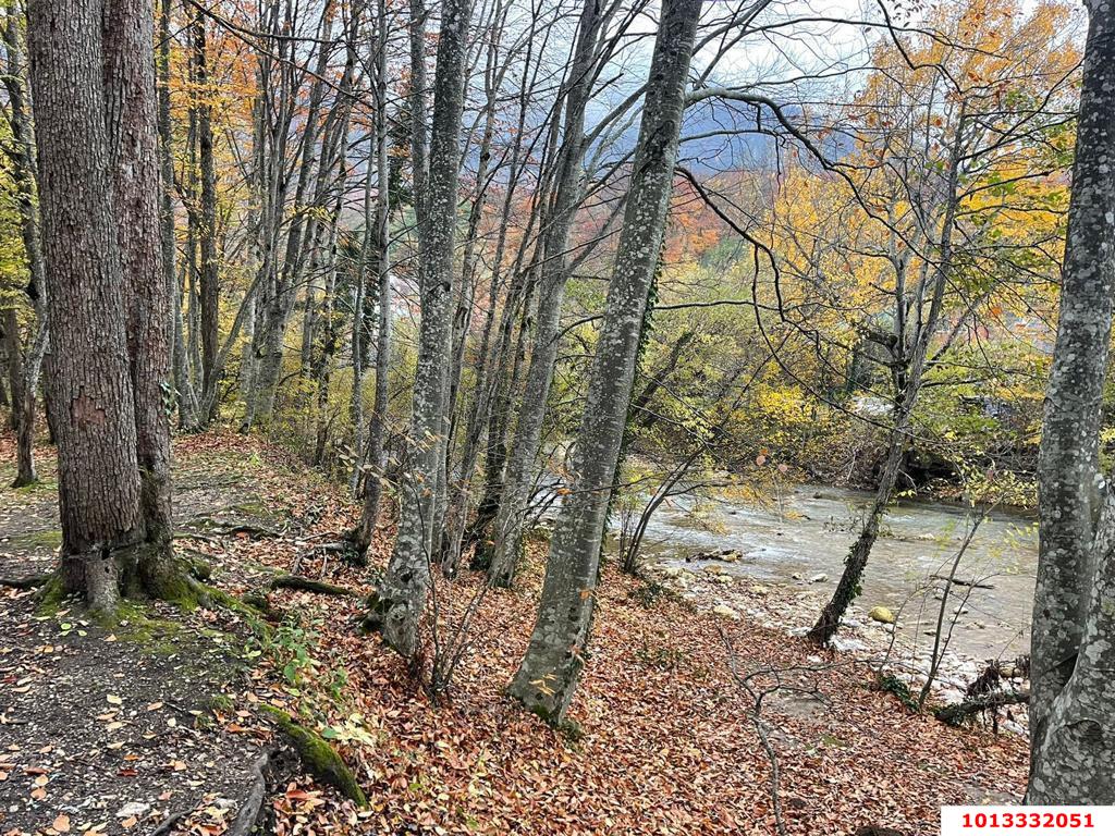 Фото №3: Земельный участок 6 сот. - СТ Виктория, мкр. Прикубанский внутригородской округ, б-р улица Зелёный