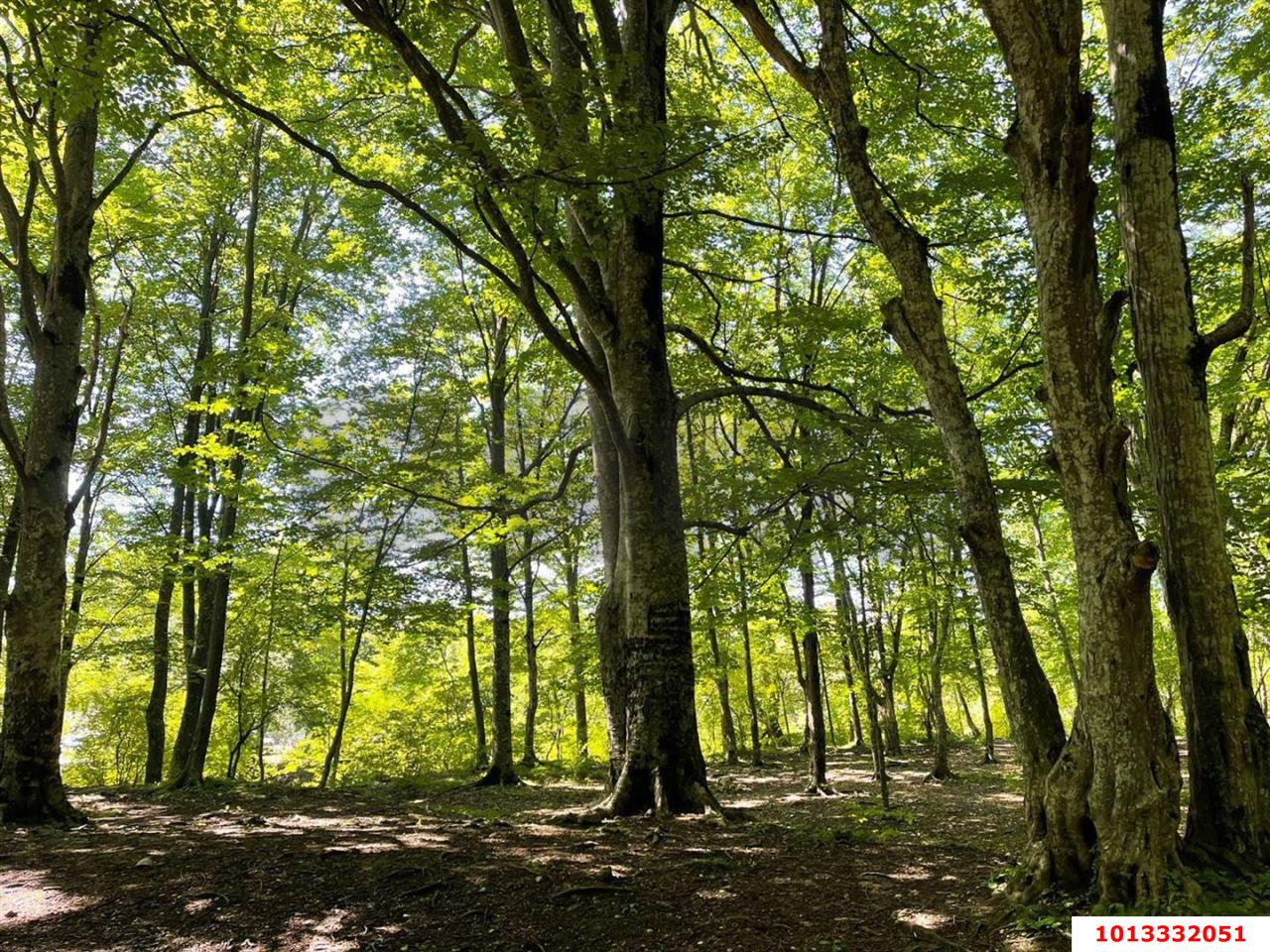 Фото №6: Земельный участок под ИЖС 6 сот. - СТ Виктория, Прикубанский внутригородской округ, б-р улица Зелёный