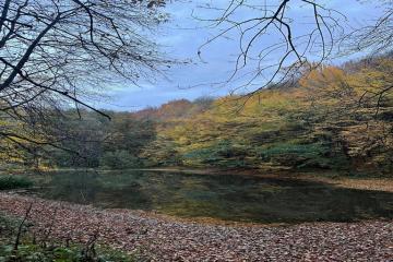 Фото №4: Земельный участок 6 сот. - СТ Виктория, мкр. Прикубанский внутригородской округ, б-р улица Зелёный