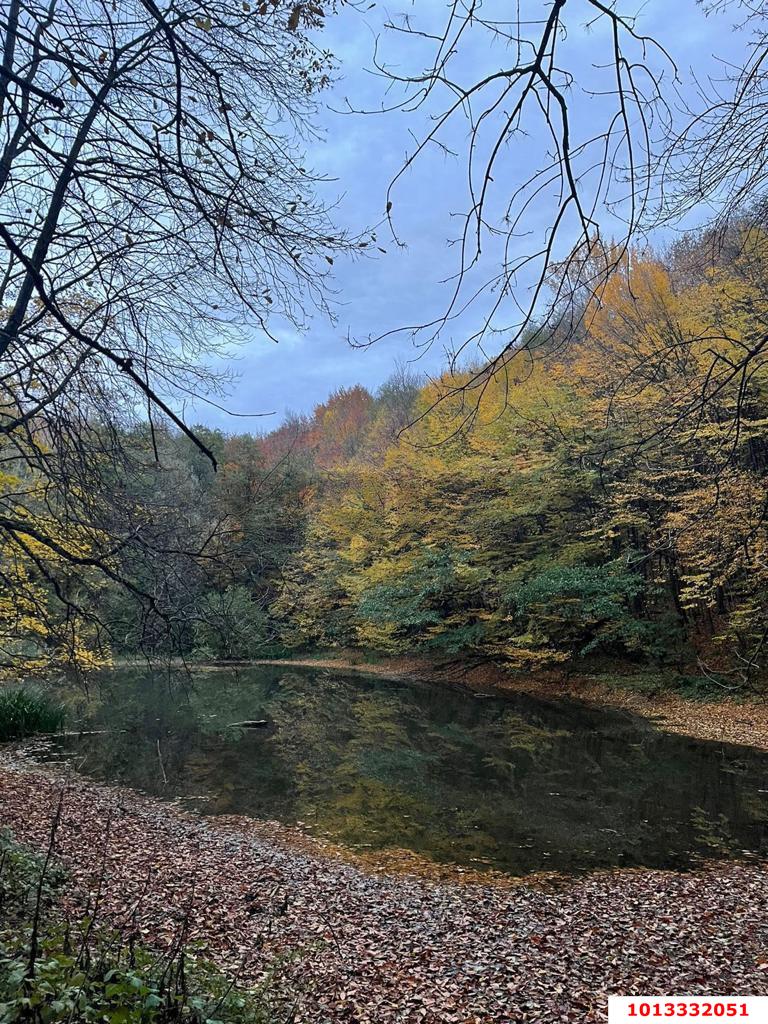 Фото №4: Земельный участок 6 сот. - СТ Виктория, мкр. Прикубанский внутригородской округ, б-р улица Зелёный