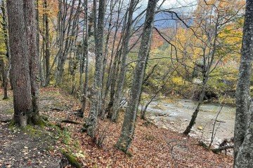 Фото №3: Земельный участок под ИЖС 6 сот. - СТ Виктория, мкр. Прикубанский внутригородской округ, б-р улица Зелёный