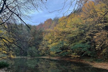 Фото №4: Земельный участок под ИЖС 6 сот. - СТ Виктория, мкр. Прикубанский внутригородской округ, б-р улица Зелёный