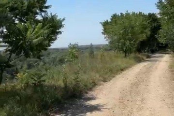 Фото №5: Личное подсобное хозяйство 7 сот. - Воронежская, пер. Кубанский, 3