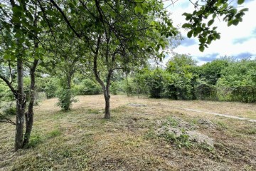 Фото №3: Личное подсобное хозяйство 7 сот. - Воронежская, пер. Кубанский, 3