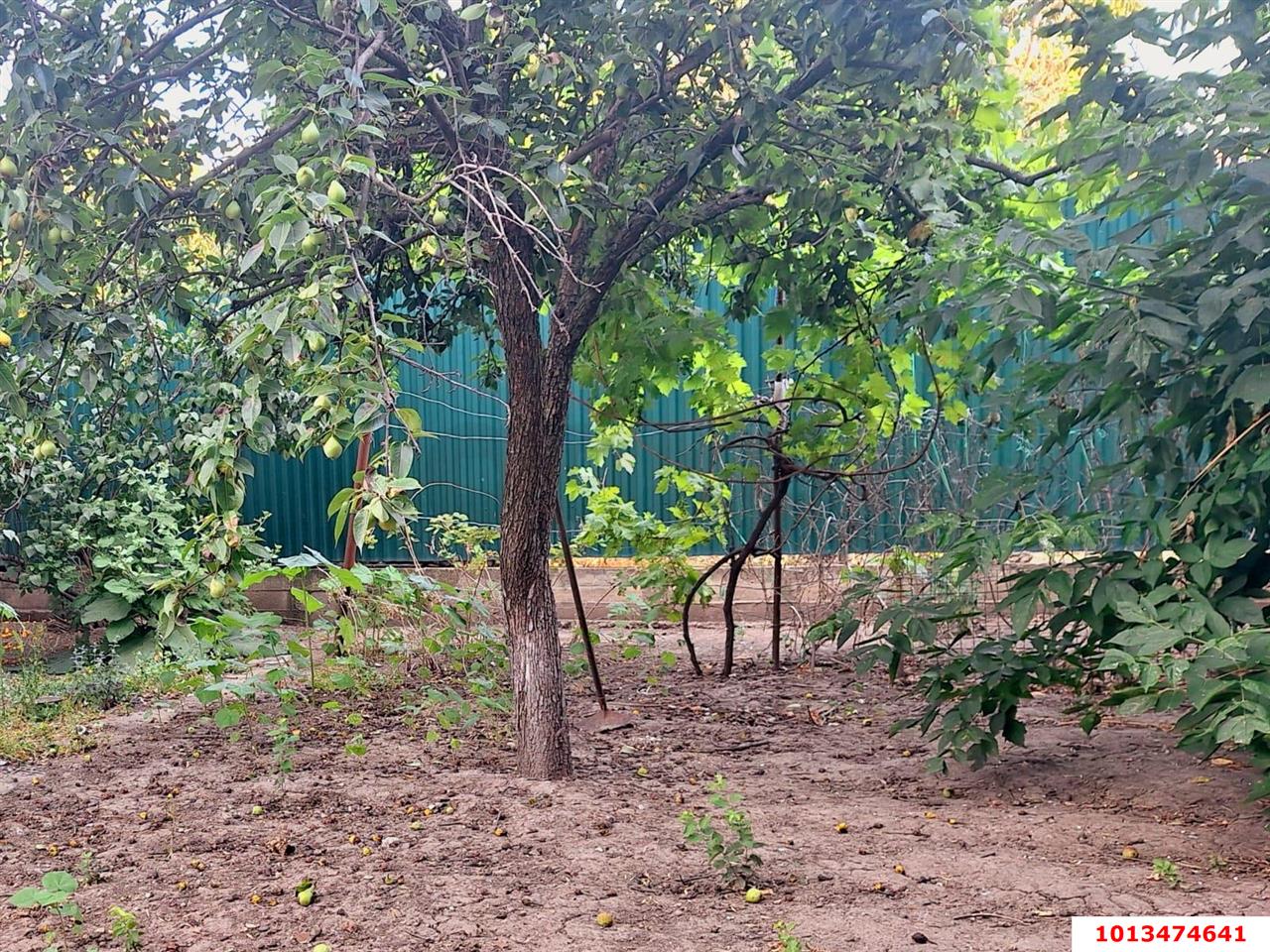 Фото №6: Земельный участок под ИЖС 4.65 сот. - Краснодар, Центральный, ул. Будённого, 292