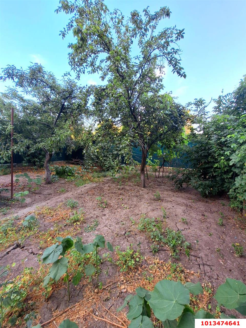 Фото №3: Земельный участок под ИЖС 4.65 сот. - Краснодар, Центральный, ул. Будённого, 292