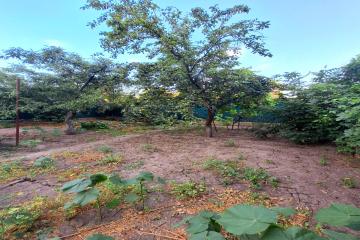 Фото №3: Земельный участок 4.65 сот. - Краснодар, мкр. Центральный, ул. Будённого, 292