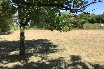 Фото №5: Земельный участок 4 сот. - Елизаветинская, ст Кубань-1, ул. Яблоневая, 70