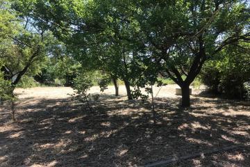 Фото №4: Земельный участок 4 сот. - Елизаветинская, ст Кубань-1, ул. Яблоневая, 70