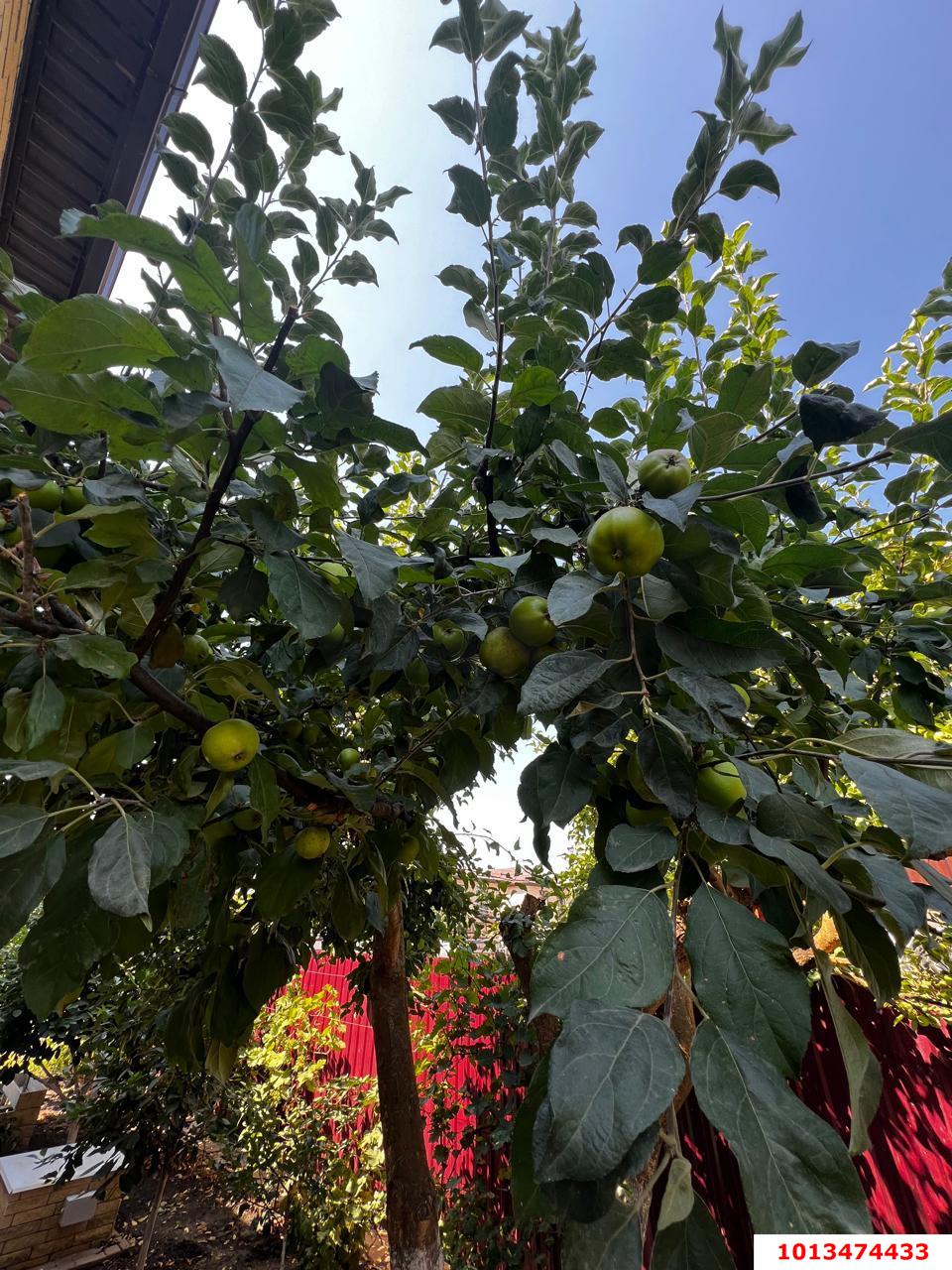 Фото №10: Дом 165 м² + 4.28 сот. - СТ Дружба, ул. Виноградная, 12