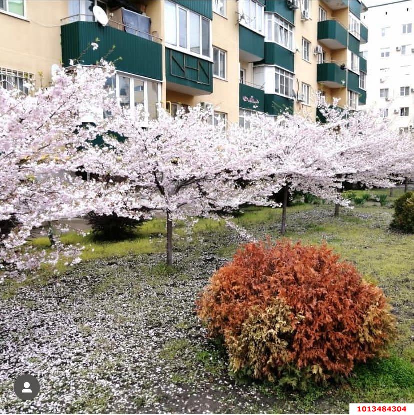 Фото №16: 2-комнатная квартира 69 м² - Яблоновский, мкр. жилой комплекс Солнечный, ул. Солнечная, 57к5