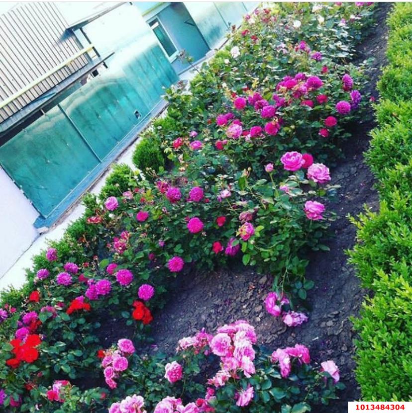 Фото №17: 2-комнатная квартира 69 м² - Яблоновский, мкр. жилой комплекс Солнечный, ул. Солнечная, 57к5