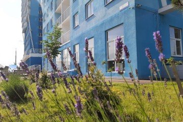 Фото №3: 3-комнатная квартира 72 м² - Краснодар, мкр. жилой комплекс Парусная Регата, ул. Автолюбителей, 1Дк3