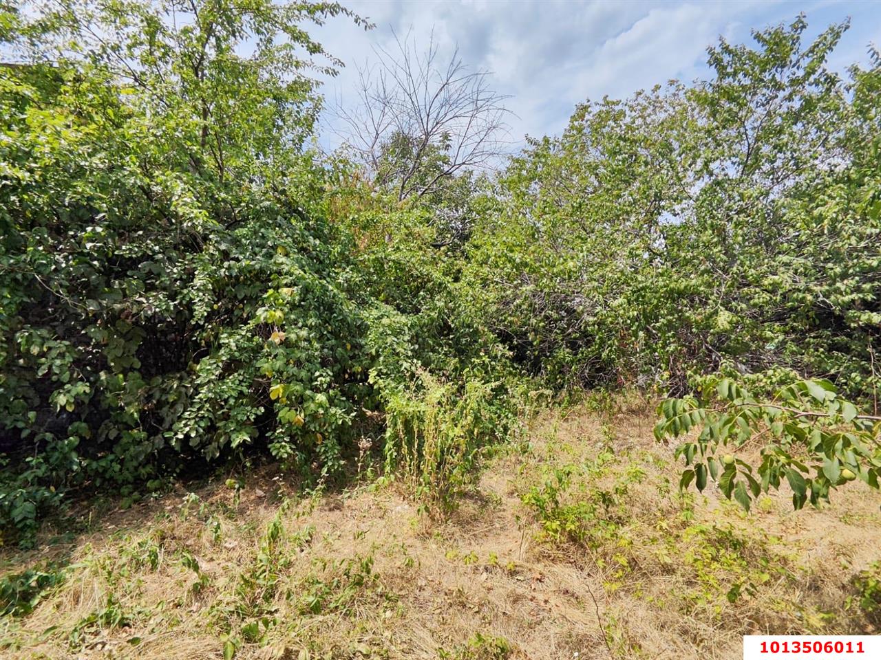 Фото №11: Дом 25 м² + 6.29 сот. - Кубанская Нива, Прикубанский внутригородской округ, ул. Медовая, 814