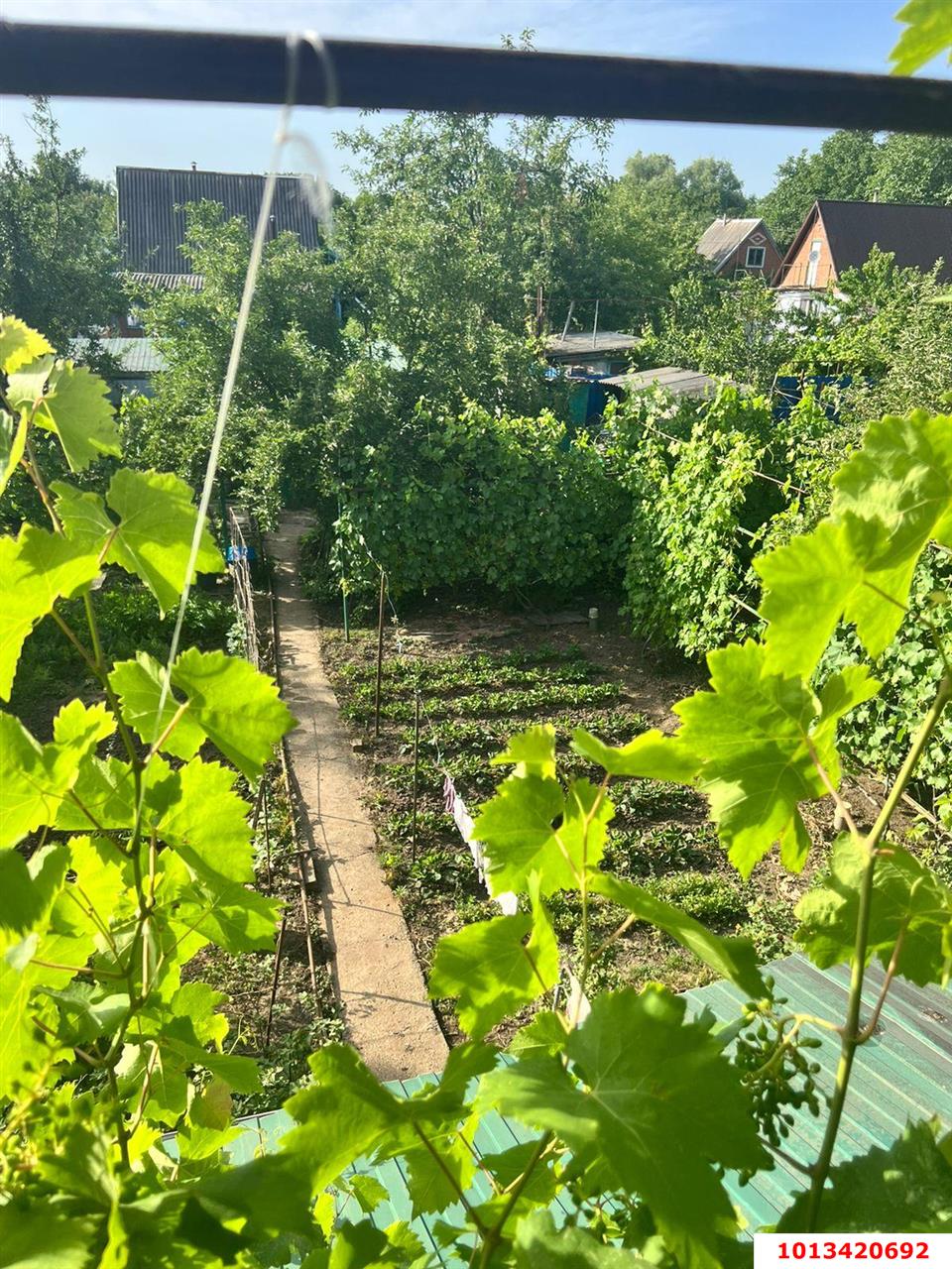 Фото №5: Дом 39 м² + 4.2 сот. - Елизаветинская, Прикубанский внутригородской округ, ст Кубань, ул. Топольковая, 88