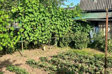 Фото №3: Дом 39 м² - Елизаветинская, ст Кубань, ул. Топольковая, 88