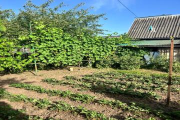 Фото №3: Дом 39 м² - Елизаветинская, ст Кубань, ул. Топольковая, 88