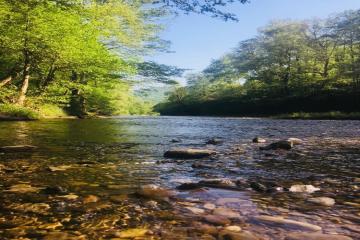 Фото №1: Коммерция 8 м² - ДНП Предгорье, ул. Утренняя, 519