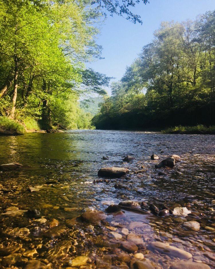 Фото №1: Коммерция 8 м² - ДНП Предгорье, ул. Утренняя, 519