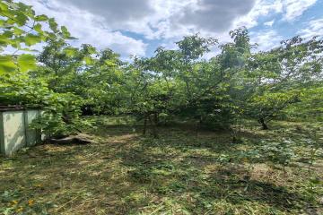 Фото №5: Земельный участок 5.67 сот. - Елизаветинская, ст Росинка, ул. Персиковая, 57