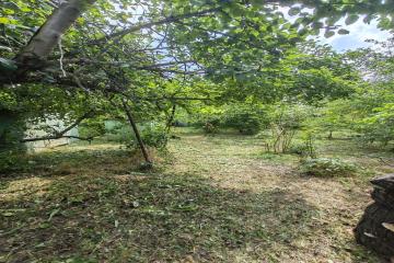 Фото №2: Земельный участок 5.67 сот. - Елизаветинская, ст Росинка, ул. Персиковая, 57