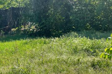 Фото №3: Земельный участок 5.67 сот. - Елизаветинская, ст Росинка, ул. Персиковая, 57