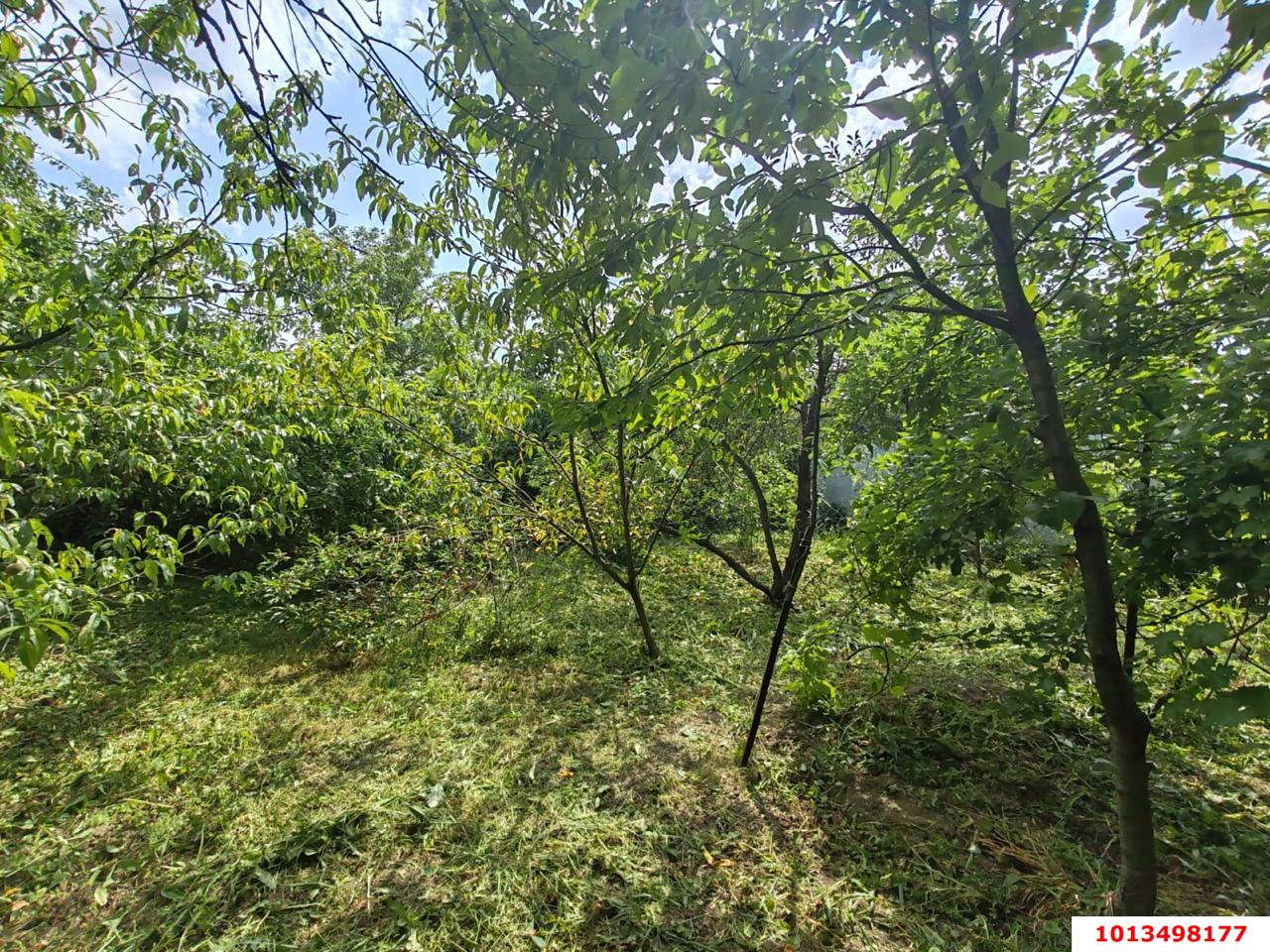 Фото №2: Личное подсобное хозяйство - Елизаветинская, Прикубанский внутригородской округ, ст Проектировщик, ул. Лесная, 158