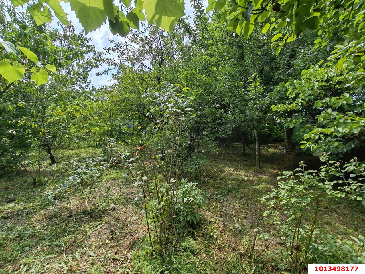 Фото №5: Личное подсобное хозяйство - Елизаветинская, Прикубанский внутригородской округ, ст Проектировщик, ул. Лесная, 158