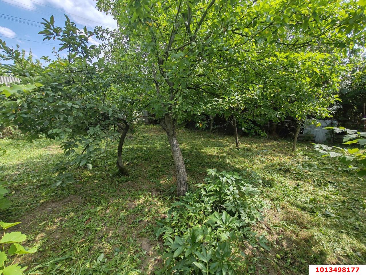 Фото №4: Личное подсобное хозяйство - Елизаветинская, Прикубанский внутригородской округ, ст Проектировщик, ул. Лесная, 158