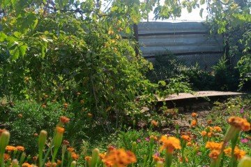 Фото №4: Часть дома 57 м² - Краснодарский, мкр. Прикубанский внутригородской округ, 37