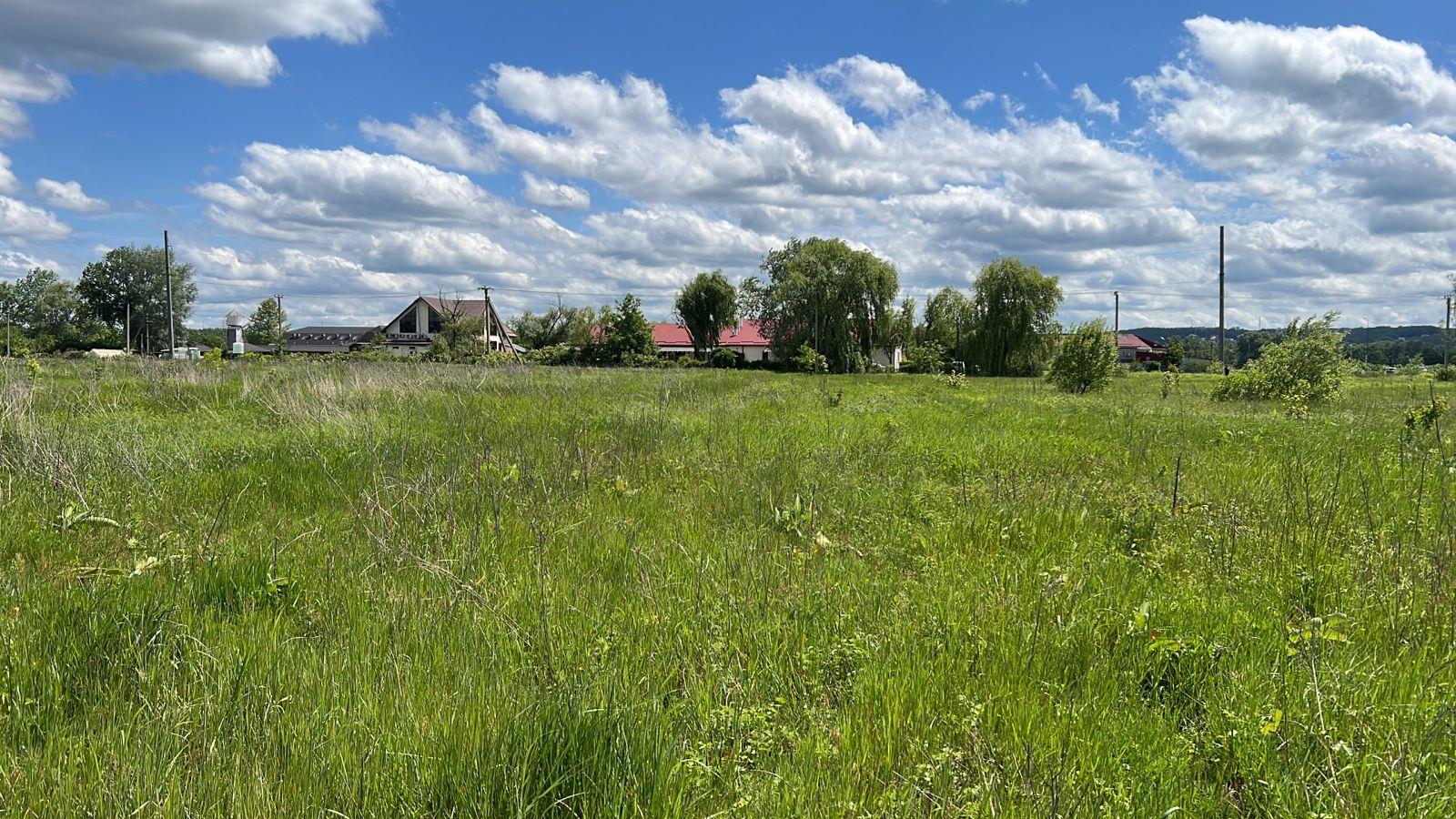 Фото №2: Земельный участок 25 сот. - Красный Восток, ул. Красная