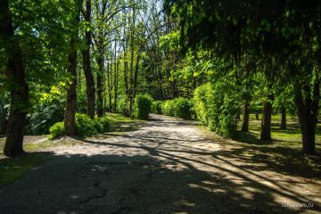 Фото №3: Земельный участок 25 сот. - Красный Восток, ул. Красная