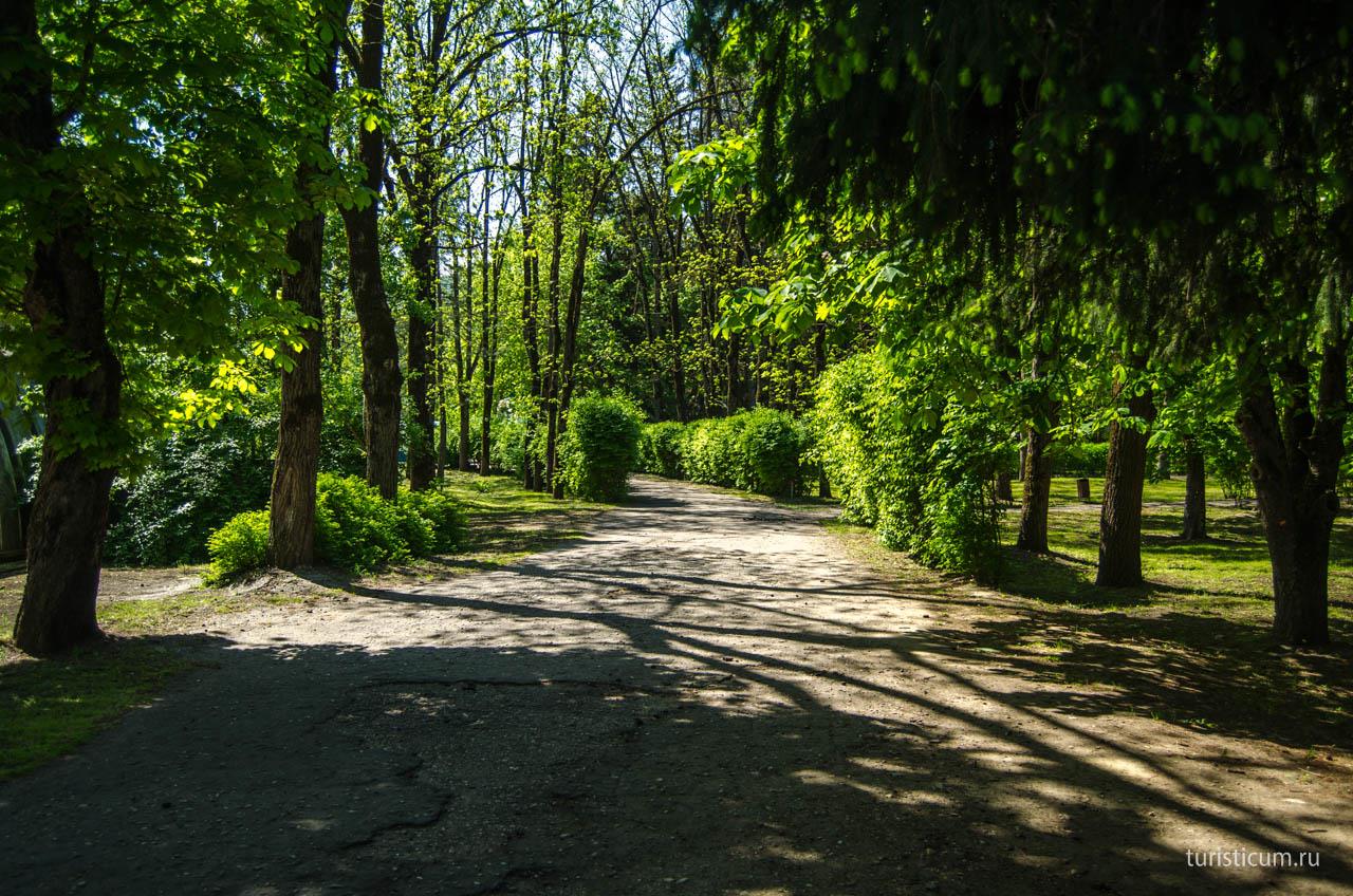 Фото №3: Земельный участок 25 сот. - Красный Восток, ул. Красная