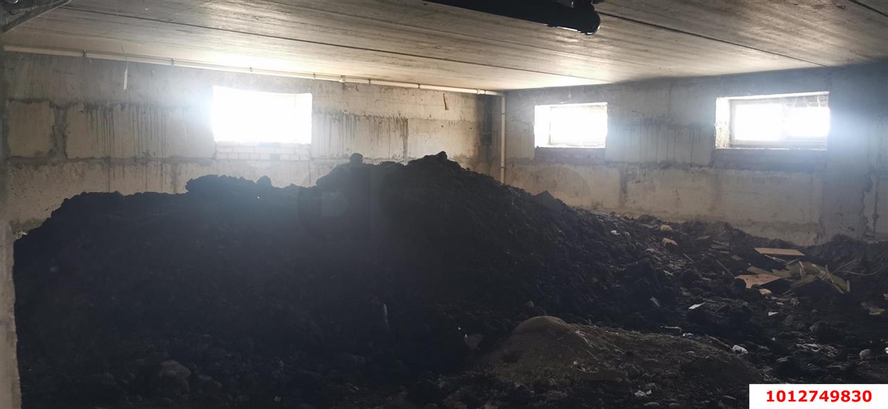 Фото №5: Торговое помещение 453 м² - Краснодар, Прикубанский внутригородской округ, мкр. жилой комплекс Добрый, ул. Почтовое Отделение 87