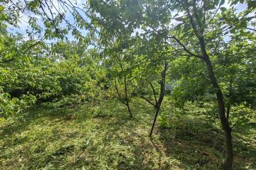 Фото №3: Земельный участок 6 сот. - Елизаветинская, ст Стекольщик, ул. Вишнёвая, 30