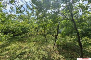 Фото №5: Земельный участок 5.78 сот. - Елизаветинская, ст Строитель, ул. Садовая