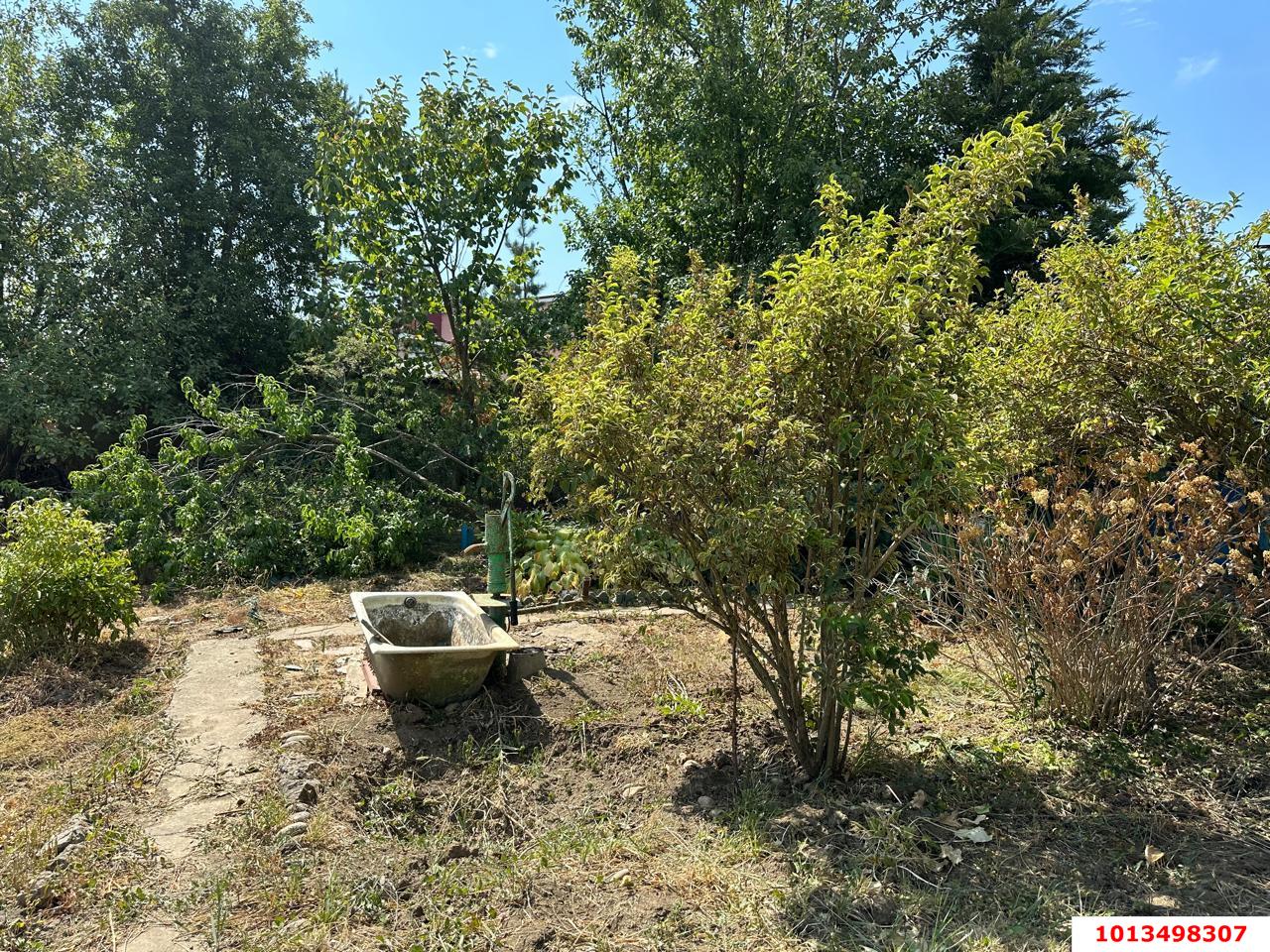 Фото №2: Личное подсобное хозяйство - Елизаветинская, Прикубанский внутригородской округ, ст Восход, ул. Ромашковая, 11