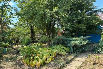 Фото №5: Земельный участок 6.67 сот. - Елизаветинская, ст Восход, ул. Ромашковая, 11