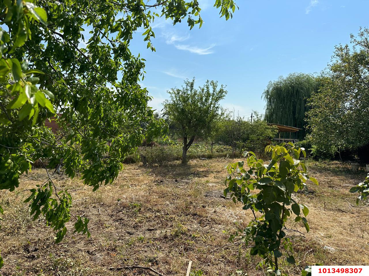 Фото №1: Личное подсобное хозяйство - Елизаветинская, Прикубанский внутригородской округ, ст Восход, ул. Ромашковая, 11