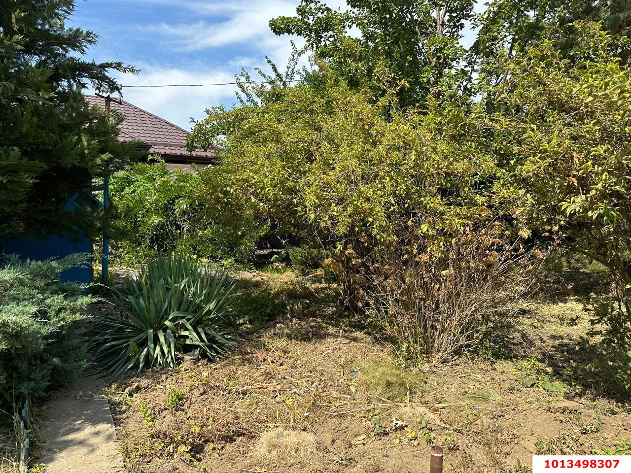 Фото №6: Личное подсобное хозяйство - Елизаветинская, Прикубанский внутригородской округ, ст Восход, ул. Ромашковая, 11