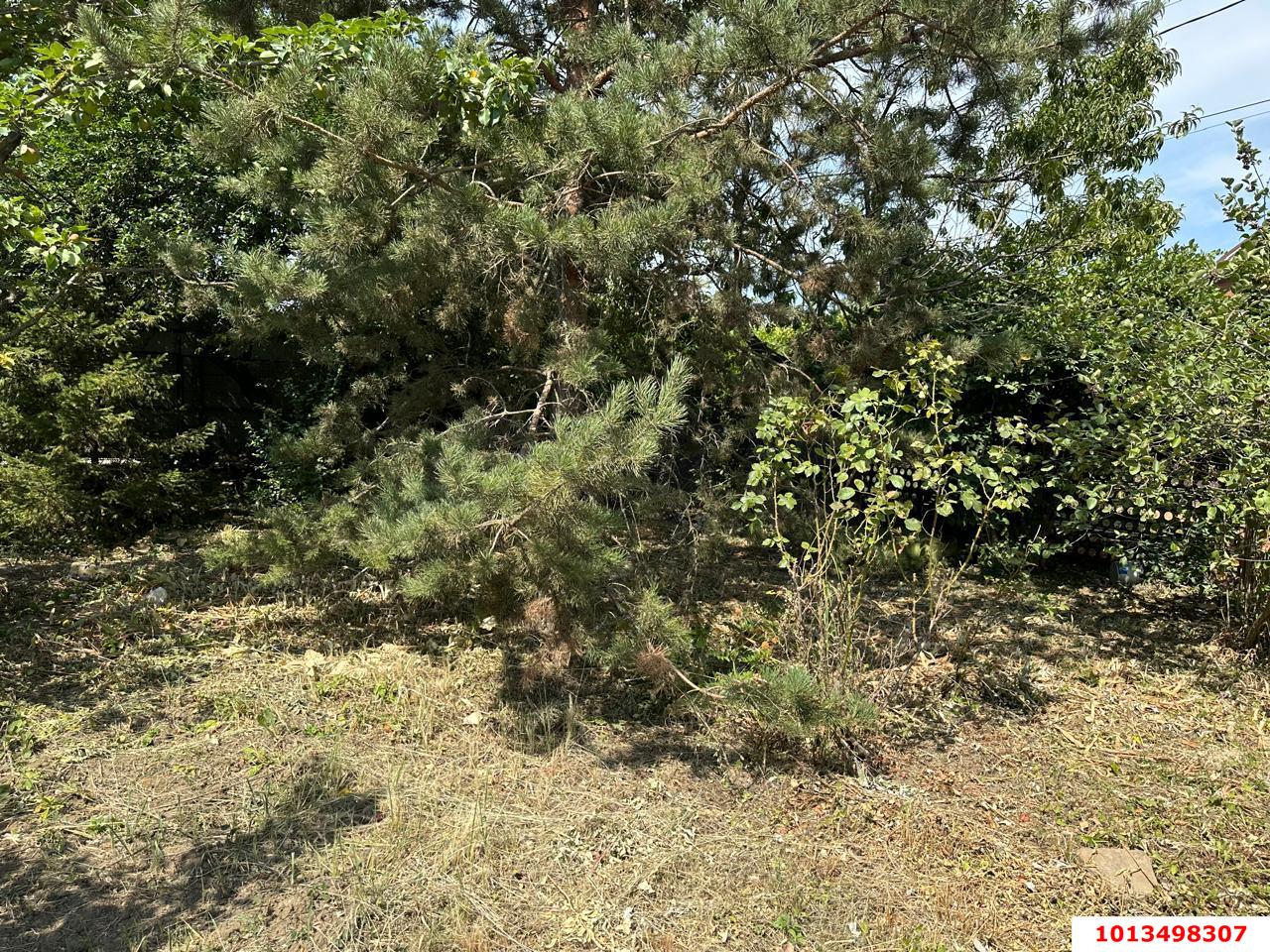 Фото №4: Личное подсобное хозяйство - Елизаветинская, Прикубанский внутригородской округ, ст Восход, ул. Ромашковая, 11