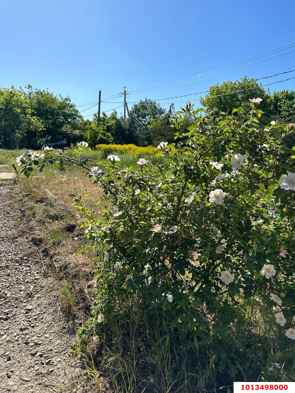 Фото №4: Земельный участок 6 сот. - Елизаветинская, Прикубанский внутригородской округ, ст Проектировщик, ул. Лесная