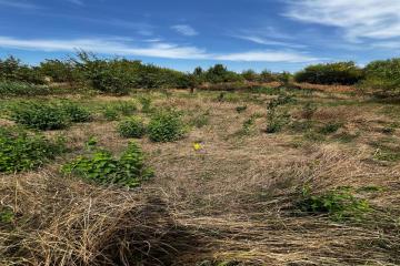 Фото №2: Земельный участок 8.19 сот. - Октябрьский, ст Краснодарсельмаш, ул. Персиковая, 22