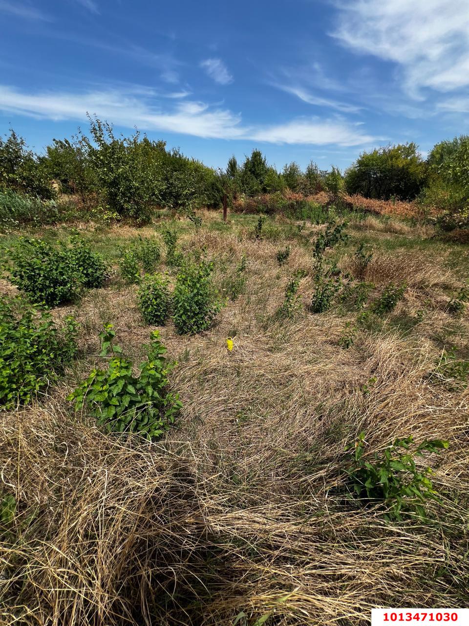 Фото №2: Земельный участок 8.19 сот. - Октябрьский, Прикубанский внутригородской округ, ст Краснодарсельмаш, ул. Персиковая, 22