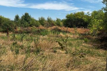 Фото №5: Земельный участок 8.19 сот. - Октябрьский, ст Краснодарсельмаш, ул. Персиковая, 22