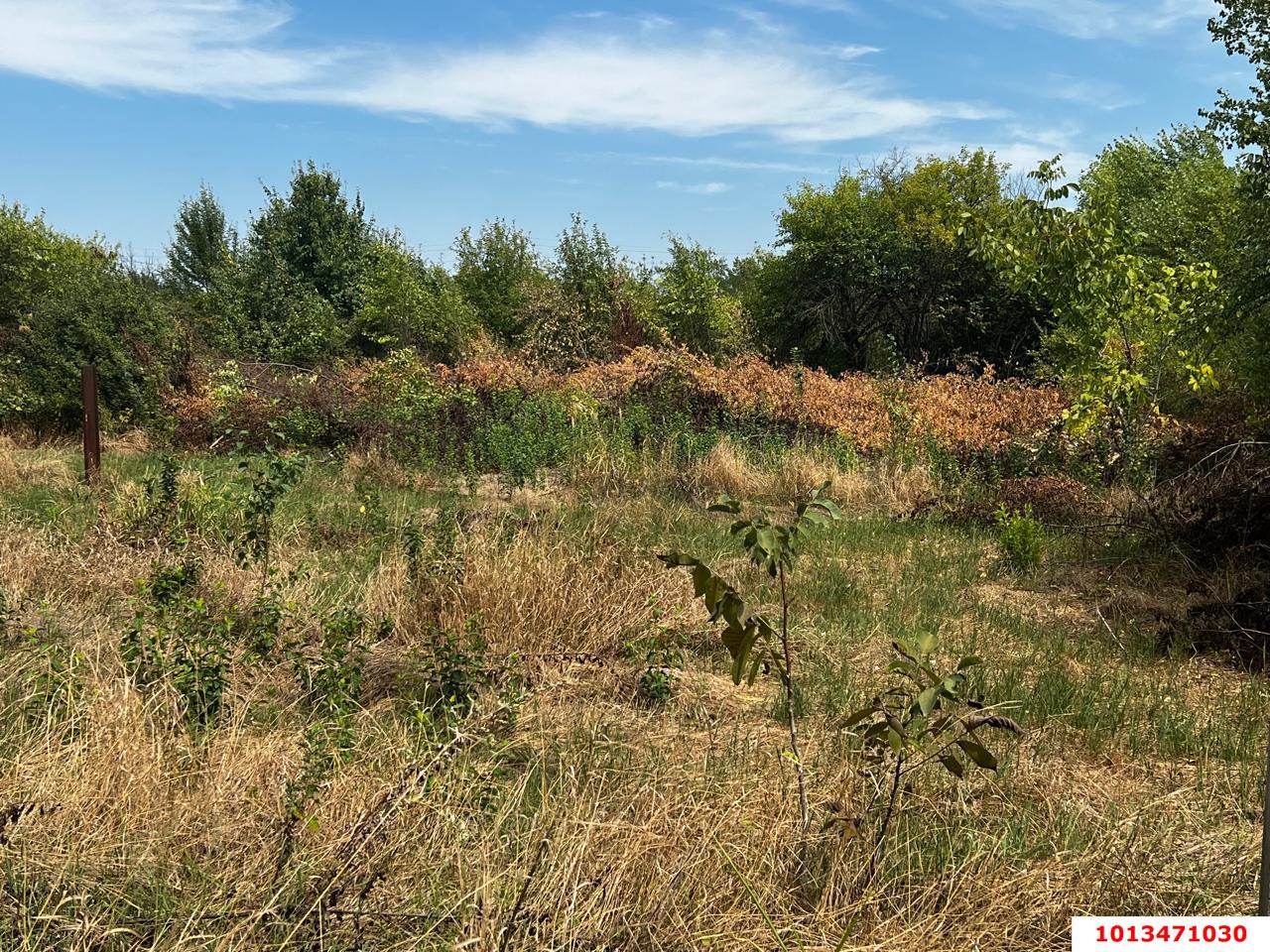 Фото №5: Земельный участок 8.19 сот. - Октябрьский, Прикубанский внутригородской округ, ст Краснодарсельмаш, ул. Персиковая, 22