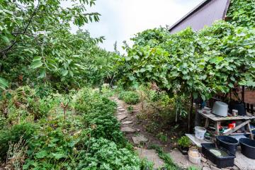 Фото №3: Дом 69 м² - Краснодар, ж/м Пашковский, ул. Ярославского, 39