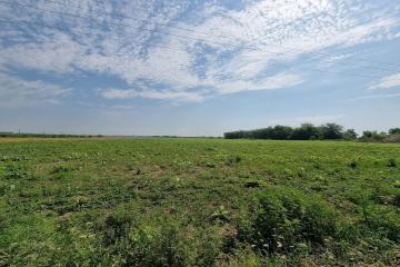 Фото №2: Коммерция 6 м² - Краснодар, мкр. Прикубанский внутригородской округ, ул. Спаниельская